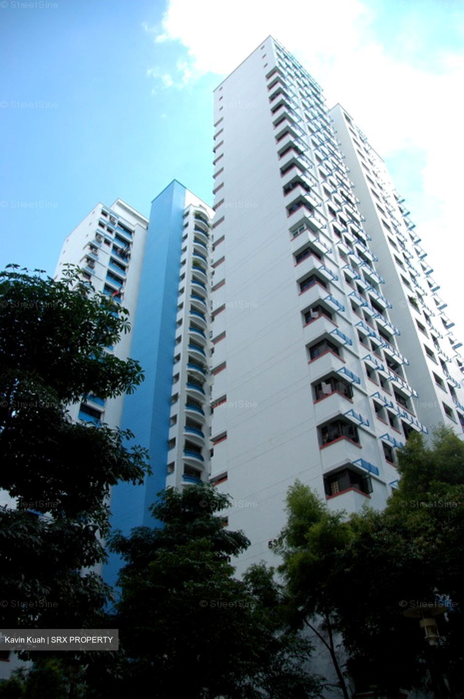 Blk 536 Panshan Grove (Bukit Panjang), HDB 4 Rooms #558829491
